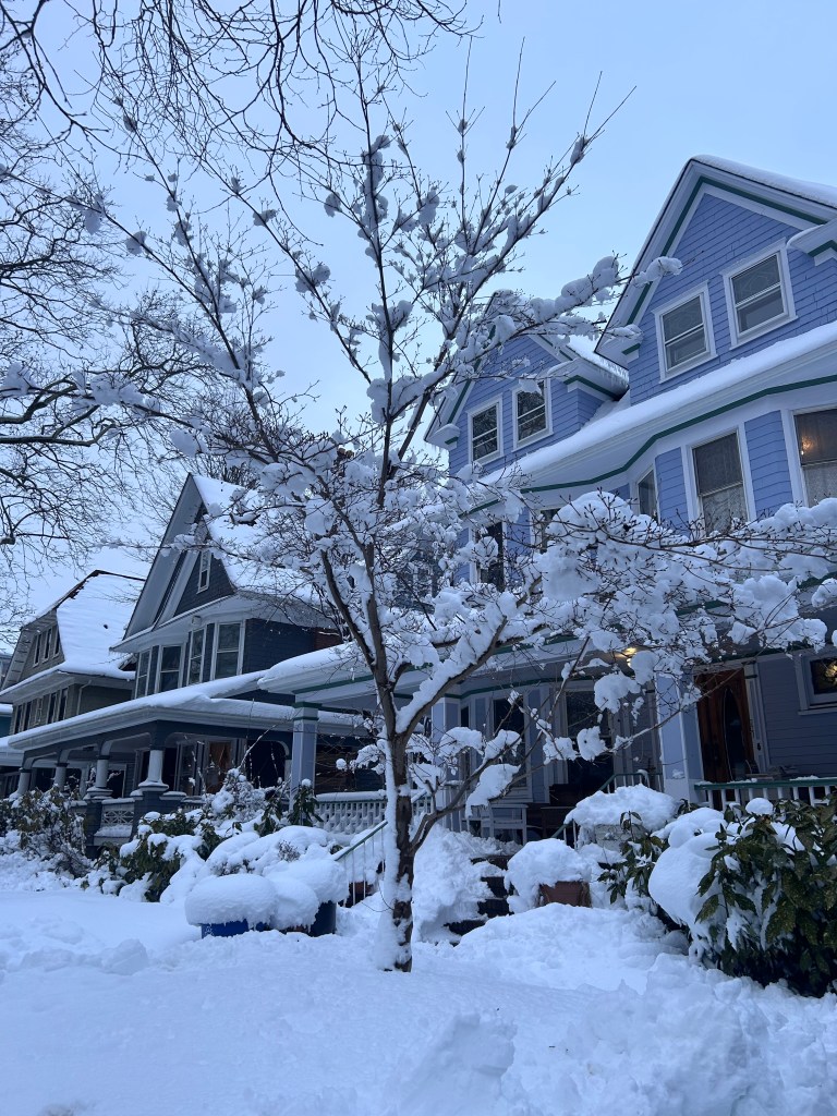 Snow Day in New York City gallery